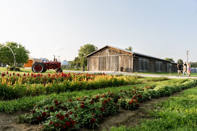 Ho Ho Hayrides at HVO