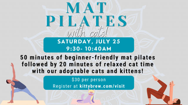Mat Pilates with Cats!