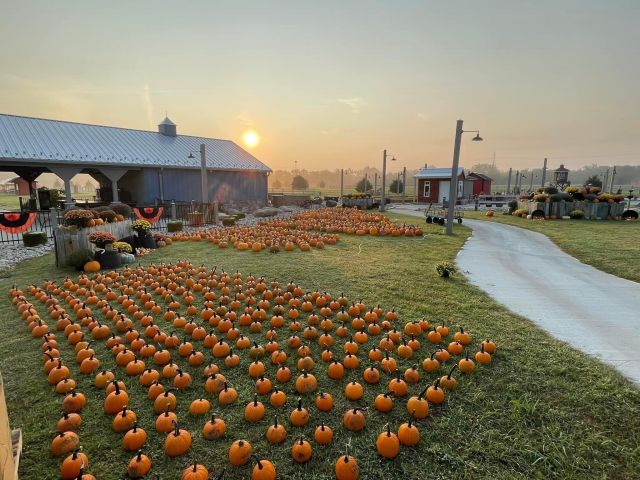 Waynesville Fall Festival