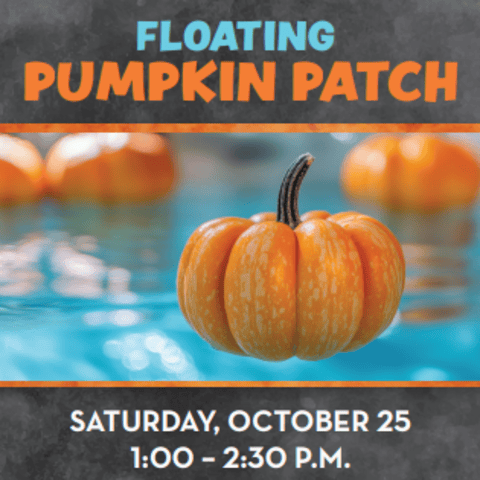 Floating Pumpkin Patch