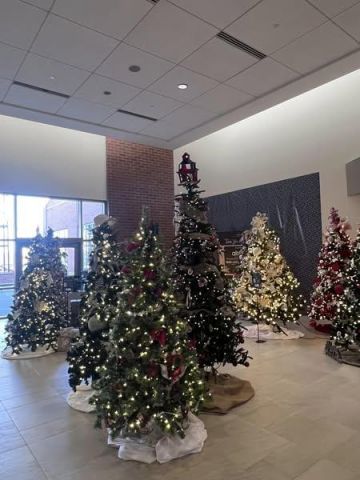 Christmas Tree Display