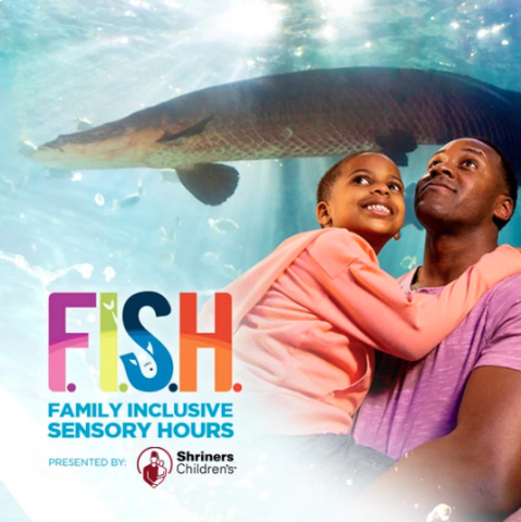 F.I.S.H. Sensory Hours