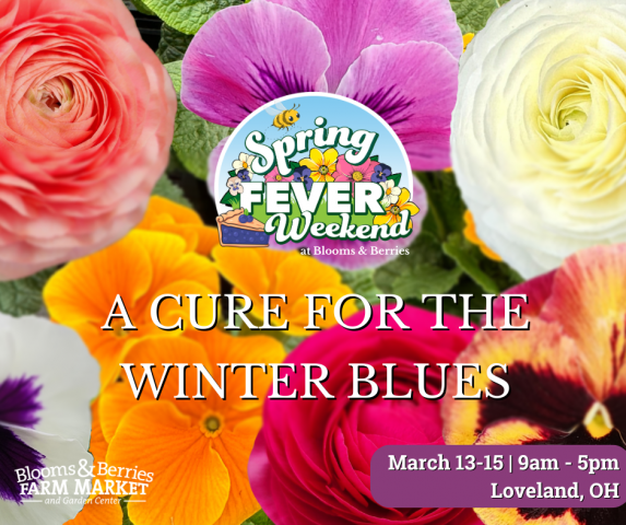 Spring Fever Weekend